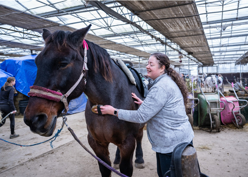 Iemand borstelt een paard.