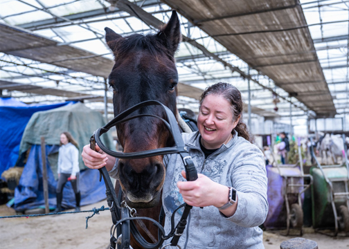 Iemand doet een tuig om bij een paard. 