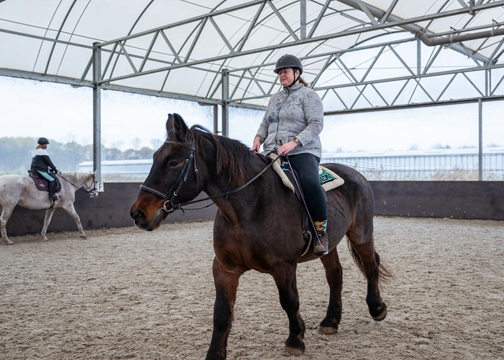 Iemand rijdt op een bruin paard.