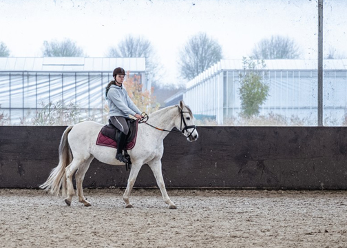 Iemand rijdt op een wit paard.